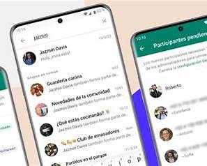 ¿Por qué es importante moderar un grupo de WhatsApp?