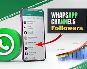 Señales de alerta: cuándo un canal NO es confiable