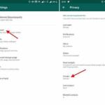 Cómo proteger tu privacidad al participar en chats públicos de WhatsApp