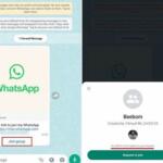 Qué pasa cuando entras a un chat público en WhatsApp: lo que debes saber